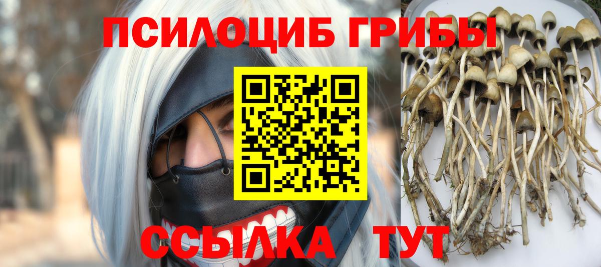 Галлюциногенные грибы Cubensis Егорьевск